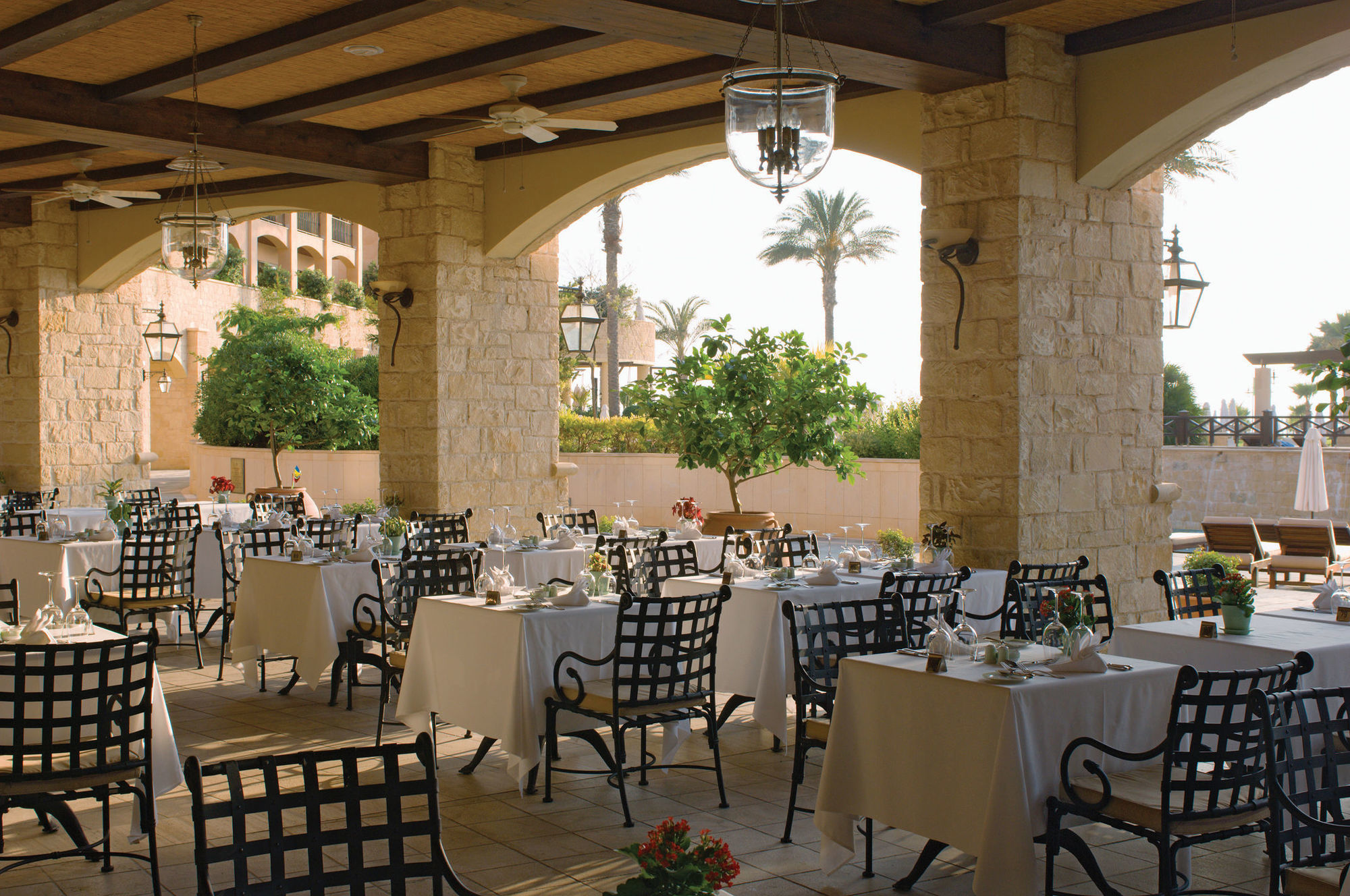 Elysium Paphos